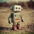 echonoid