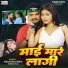 Vikash Balamua, Suman Raj