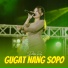 Dhista Rara