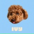 Smuv, Made in M