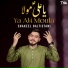 Shakeel Baltistani