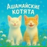 Ашамайские котята