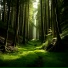 traplight, Subvmph1bie