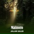 Mainoro