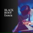 Black Root Esencia