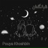 Pouya Khoshbin