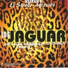 Los Jaguar De Valle Hermoso