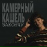 Камерный кашель