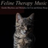 RelaxMyCat