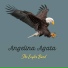 The Eagles Band
