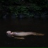 Lisa Mitchell, Jess Hitchcock