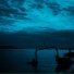UNJØY