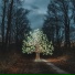 Lumenfall