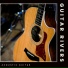 Acoustic Guitar