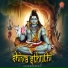 Haliyal Meghana