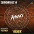 Soundwave214