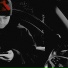 jeeks 24