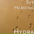 Sue Harding