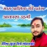 Suraj Saini Loharwada