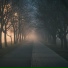 Entspannungsmusik, Nature Recordings, Deep Sleep
