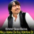 Kifayat Shah Bacha