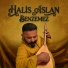 Halis Aslan