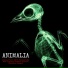 Animalia