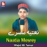 Wajid Ali Tamai