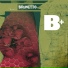 Brunetto feat. ACCD
