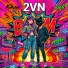 2VN