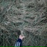 Iva Sativa, Kapshul