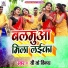 V K Vinay