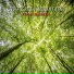 The Green Mountain