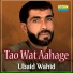 Ubaid Wahid