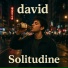 david