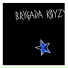 brygada kryzys