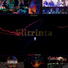 Elitrinta