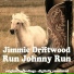 Jimmie Driftwood