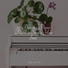 PianoDreams, Massage Music, Calm shores