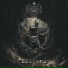 Military Cat