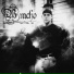 Bracho