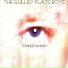 Francis Dunnery- 2005