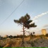 zetuv, Dead Nation, ERXND