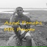 MR Pawar