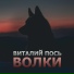Виталий Пось