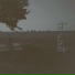 BRDN