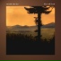 outside the sky