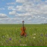 1Violin