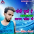 Bipin Bihari