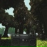 Babylon